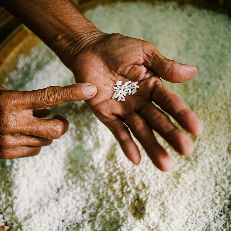 A finger points to rice grains in a hand.